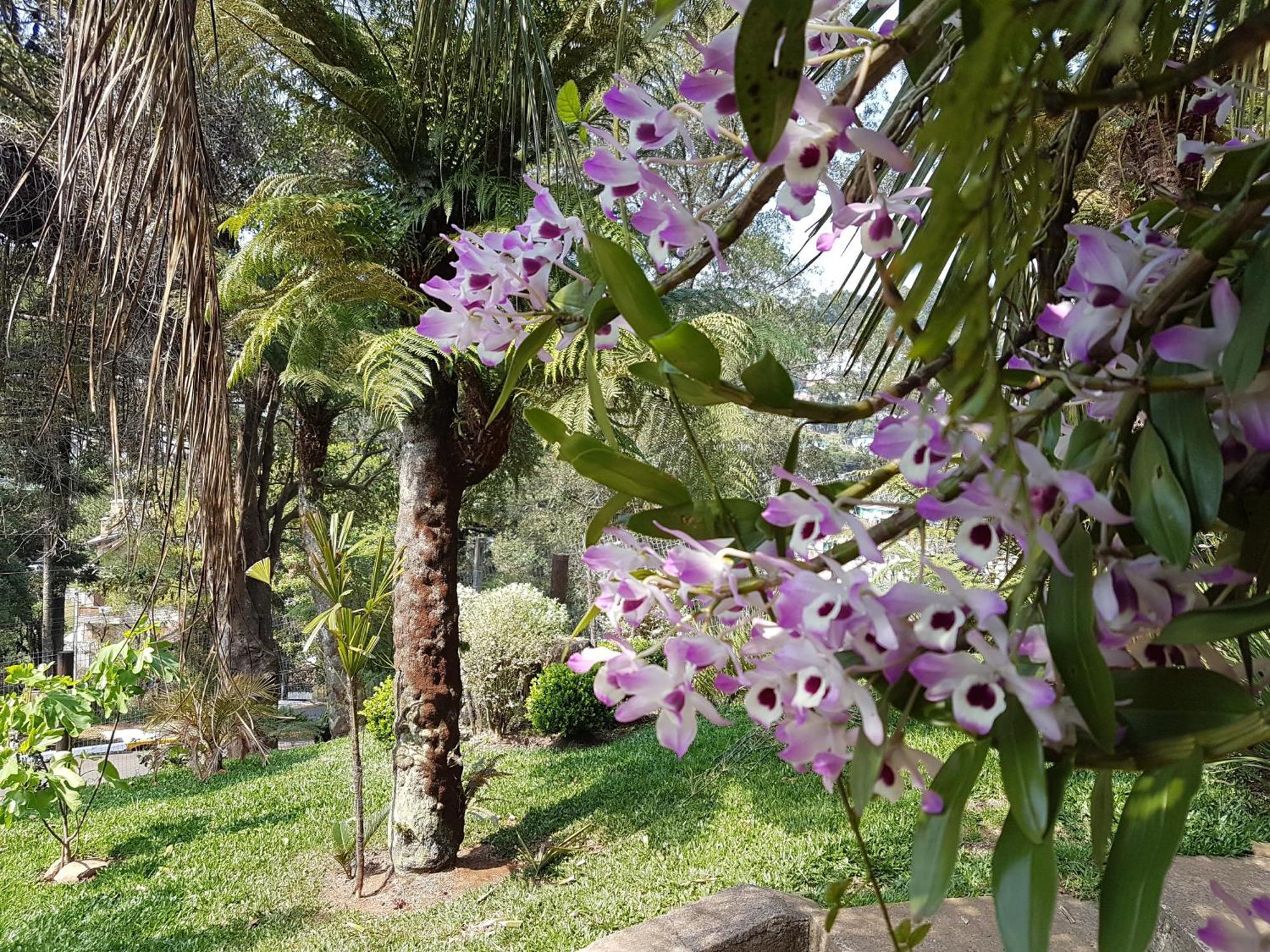 Residencia No Centro De Gramado Villa Dış mekan fotoğraf